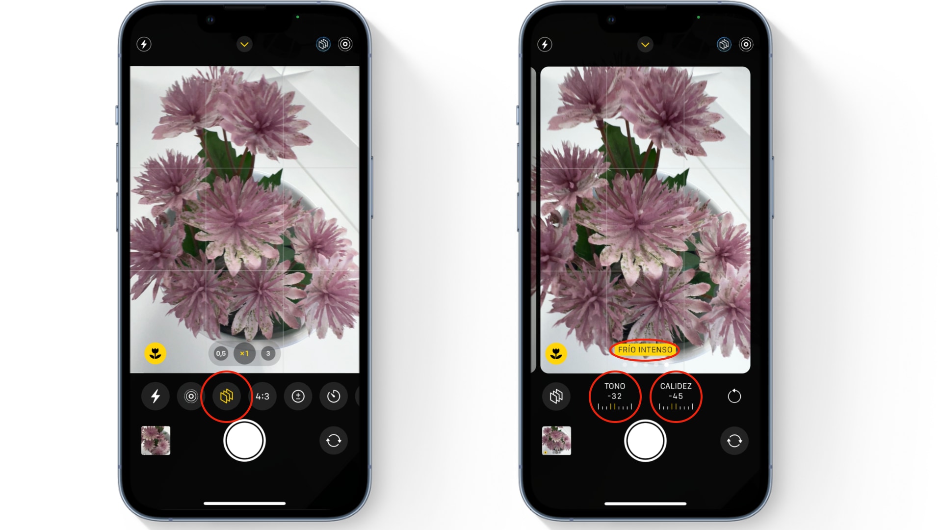 5 Best iPhone 13 Camera Tips & Tricks you need to know!