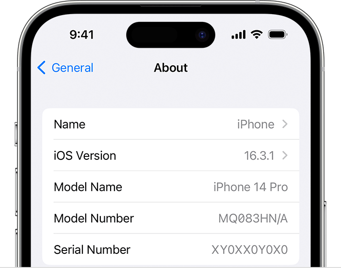 iPhone-setting